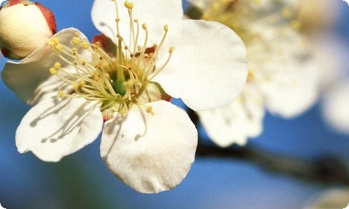 关于初二写春节的作文锦集七篇