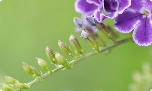 精选六一小学生作文汇总8篇