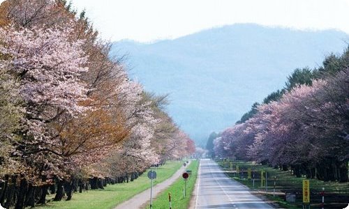 小学五年级作文