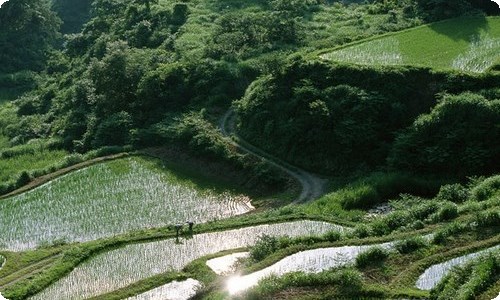 【精】冬天写景作文