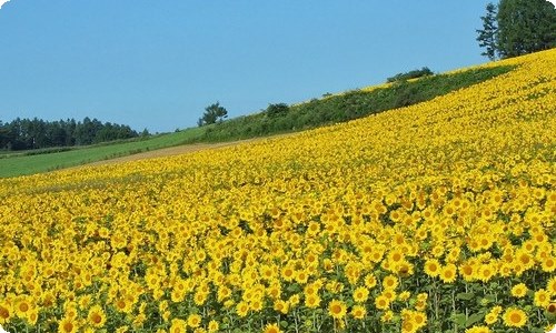 写他人的作文700字左右