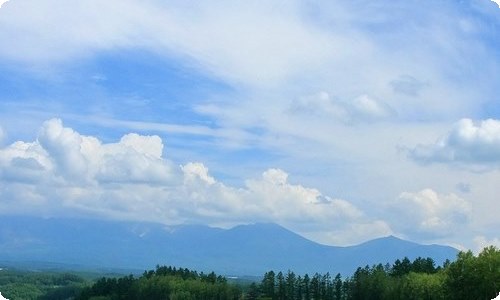 【精】《小英雄雨来》读后感