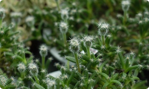 有关教师节的作文800字锦集5篇