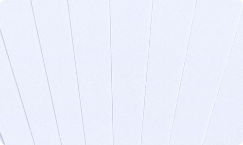 【推荐】初二作文300字锦集9篇