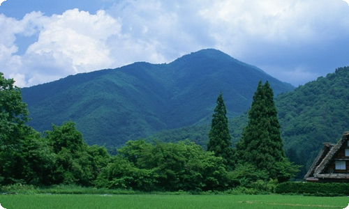 简爱初一读后感